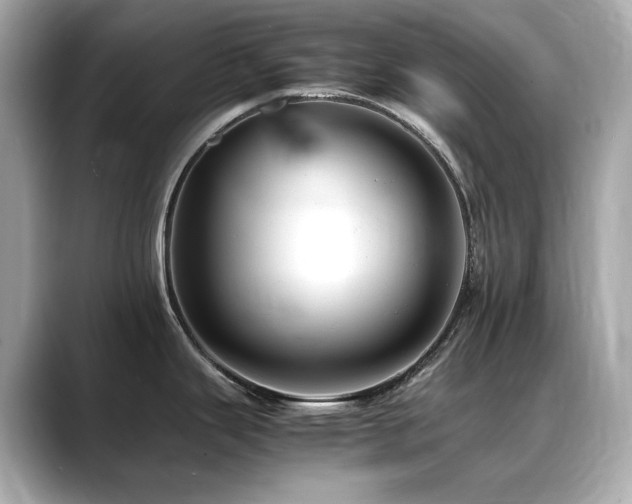 X0000088701343200705311208