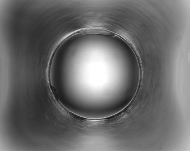 X0000088701344200705311208