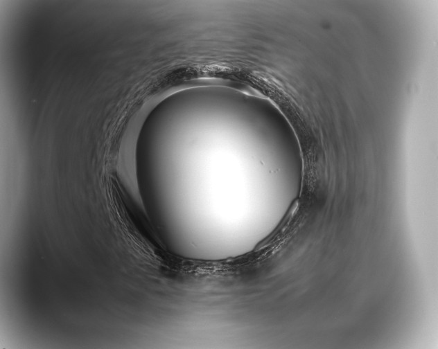 X0000088701345200705311207
