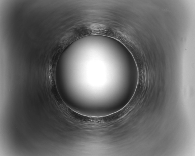 X0000088701346200705311207