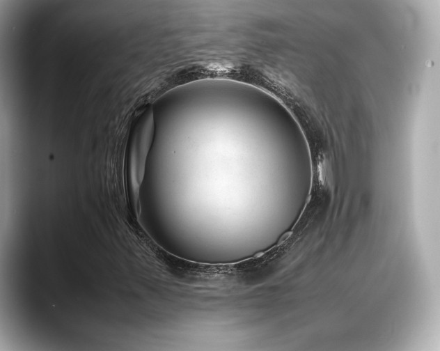 X0000088701347200705311207