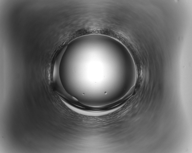 X0000088701348200705311207