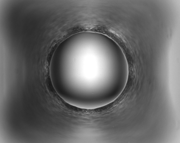 X0000088701349200705311207