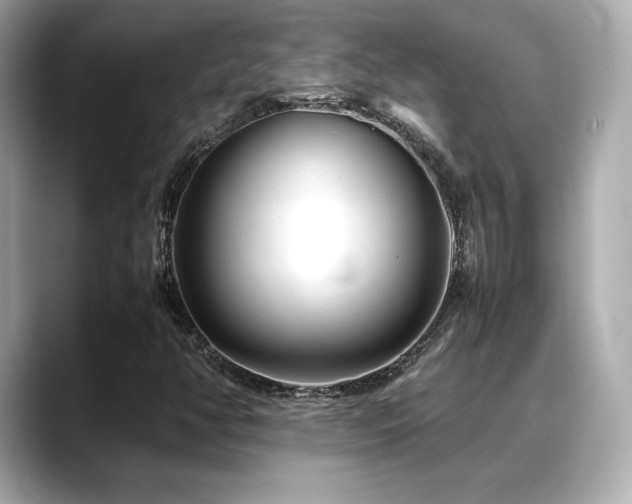 X0000088701350200705311207