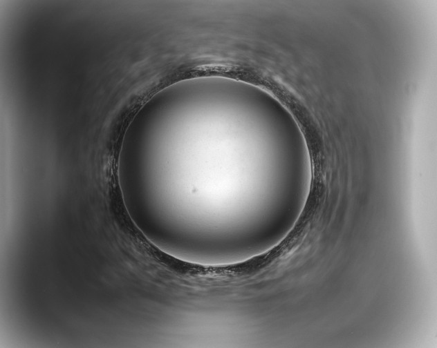 X0000088701351200705311207