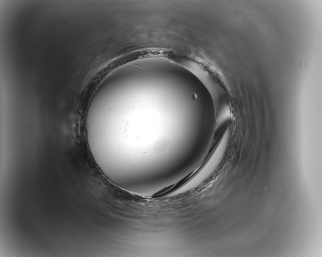 X0000088701352200705311207