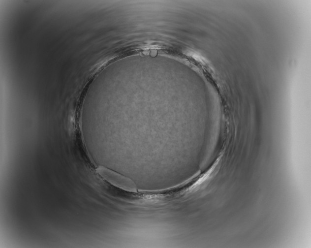 X0000088701353200705311207