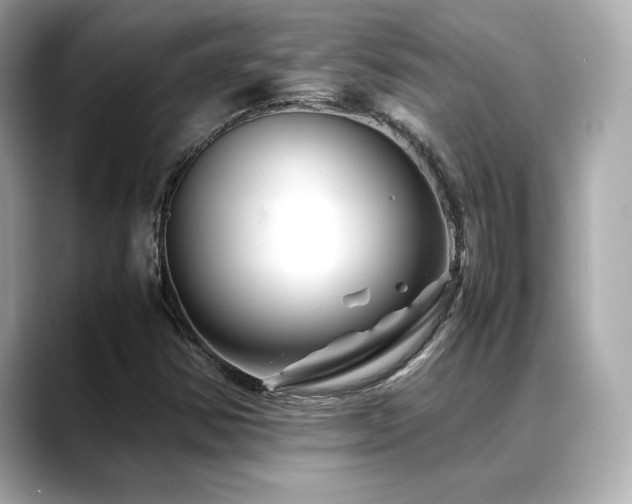X0000088701354200705311207
