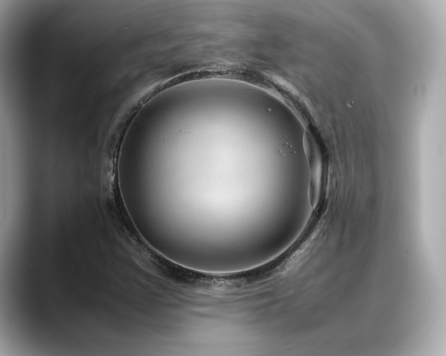 X0000088701355200705311207
