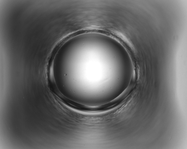 X0000088701356200705311207