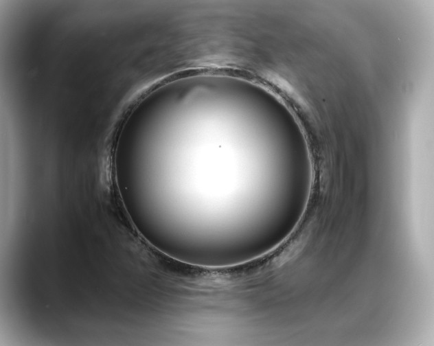 X0000088701358200705311207