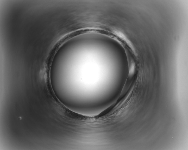 X0000088701360200705311207