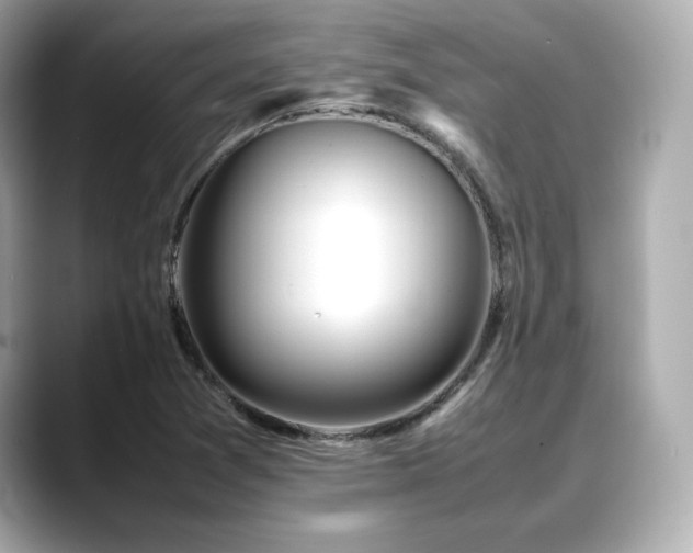 X0000088701361200705311207