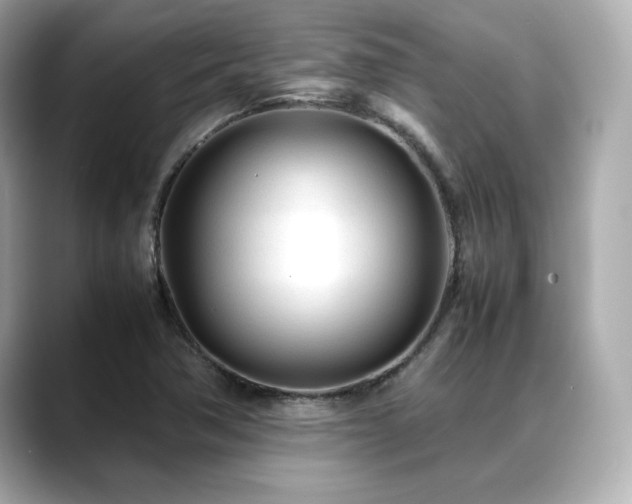 X0000088701362200705311207