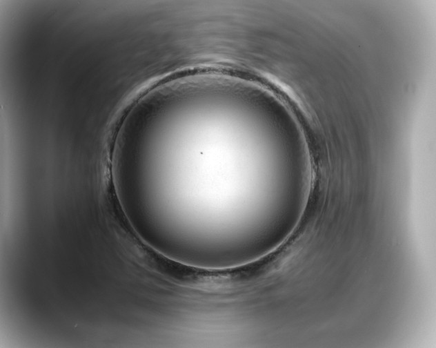 X0000088701363200705311207