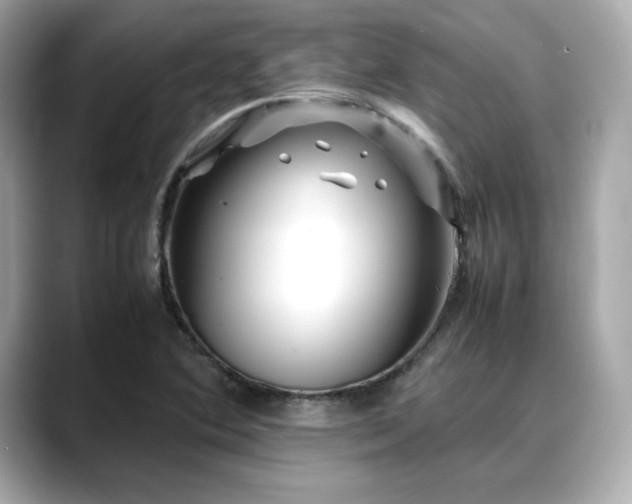 X0000088701364200705311207