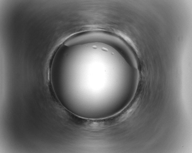 X0000088701365200705311207