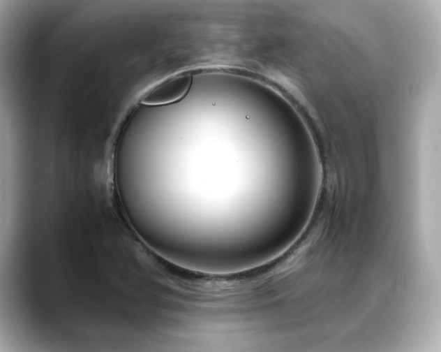 X0000088701366200705311207