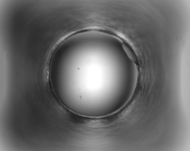 X0000088701367200705311207