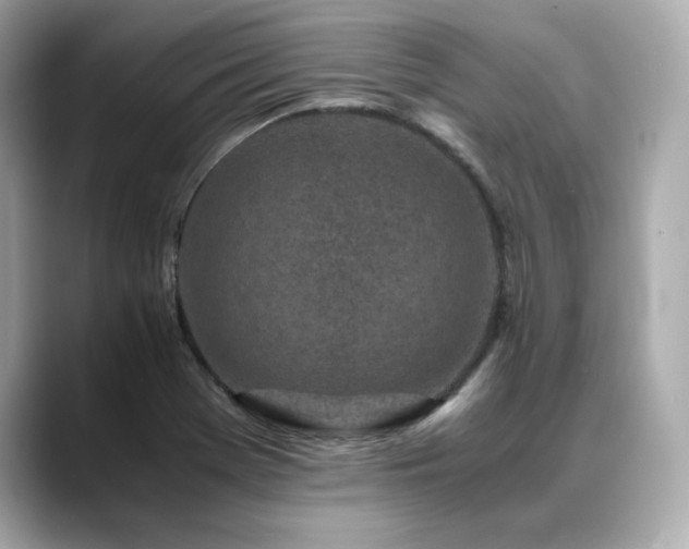 X0000088701369200705311207