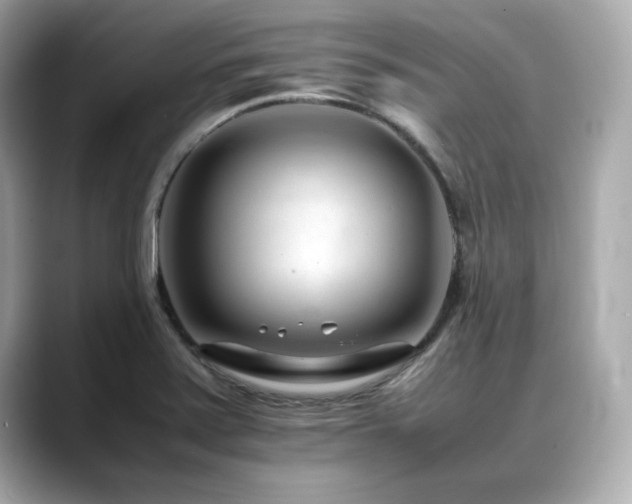 X0000088701371200705311207