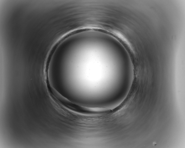 X0000088701372200705311207