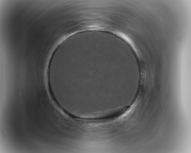 X0000088701373200705311207