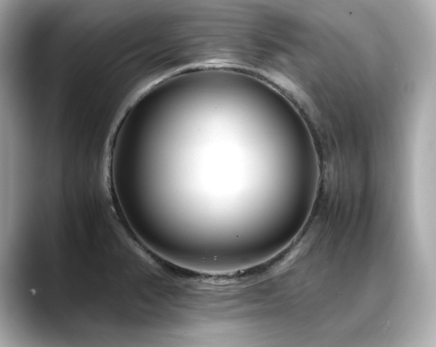 X0000088701374200705311207