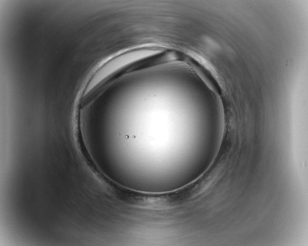 X0000088701375200705311207