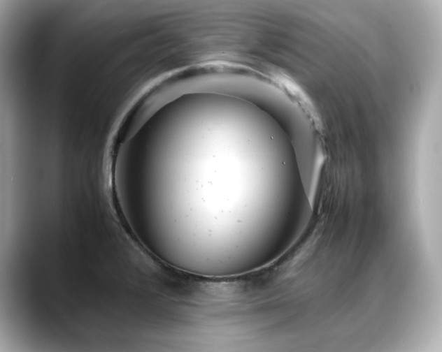 X0000088701376200705311207