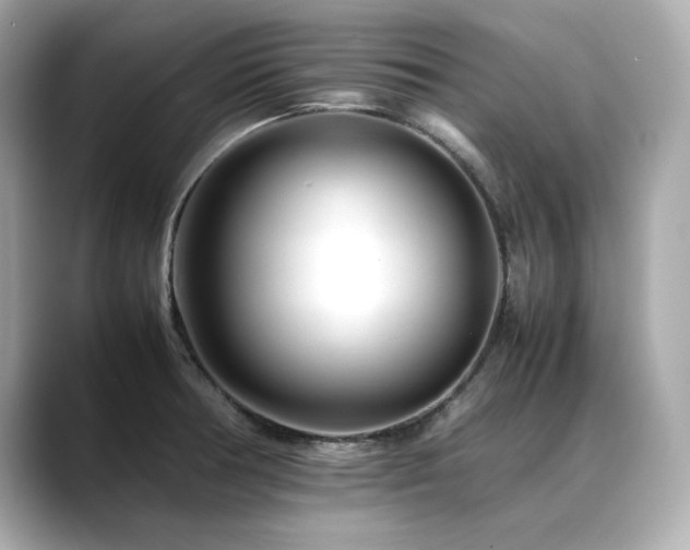 X0000088701378200705311207