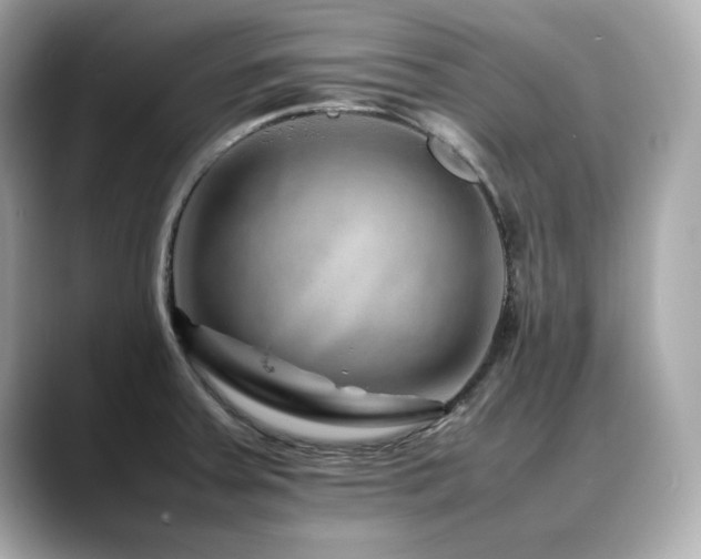 X0000088701379200705311207