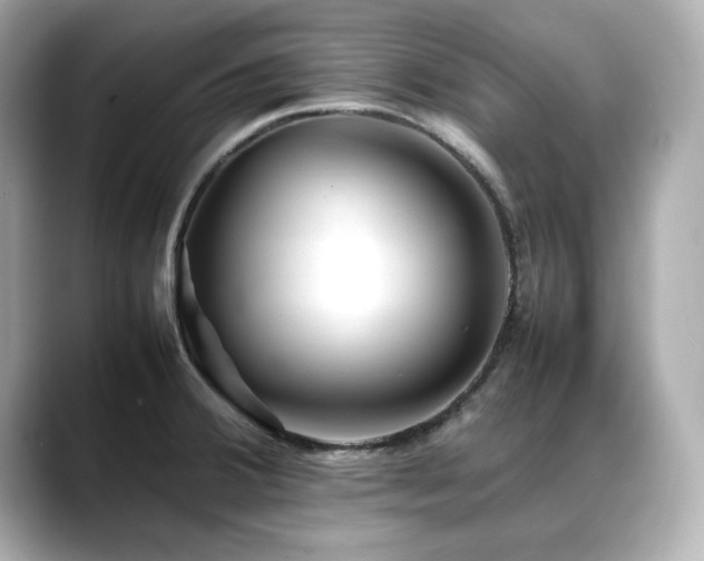 X0000088701380200705311207