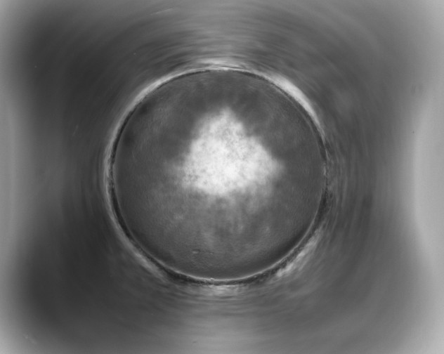 X0000088701381200705311207