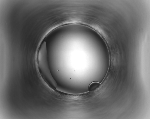 X0000088701382200705311207