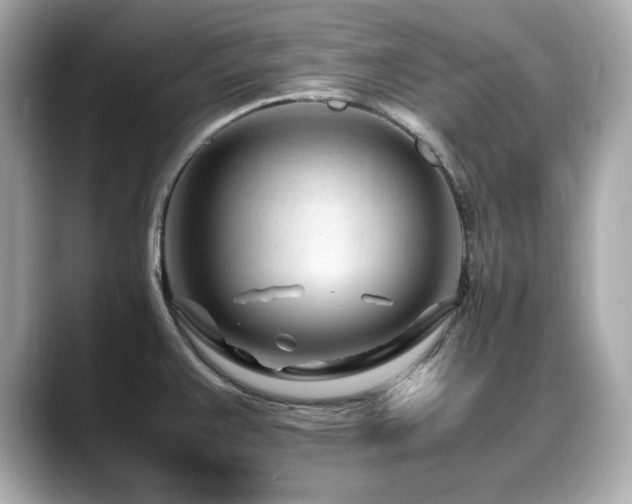 X0000088701383200705311207