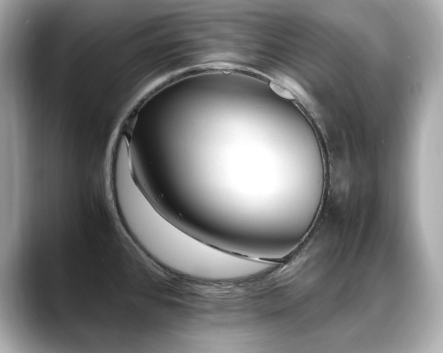 X0000088701384200705311207
