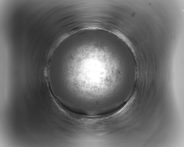 X0000088701385200705311207