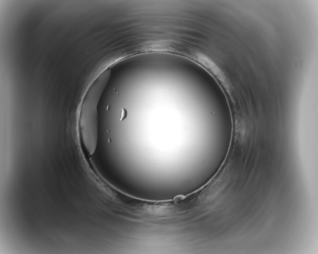 X0000088701386200705311207