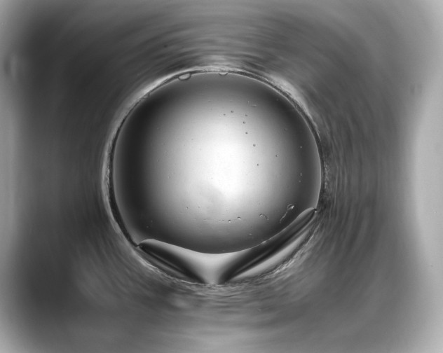 X0000088701387200705311207