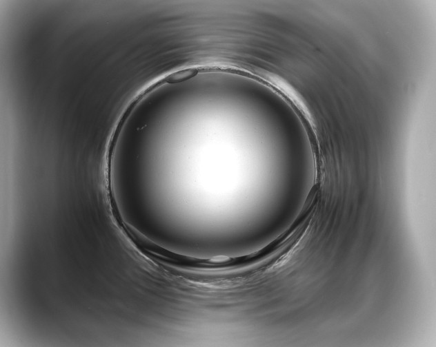 X0000088701388200705311207