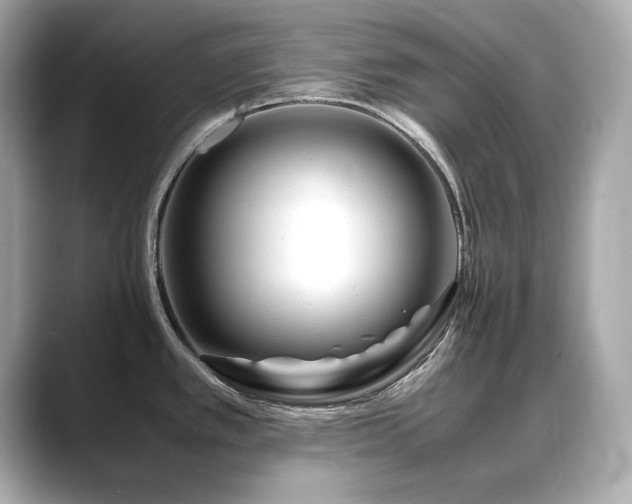 X0000088701389200705311207