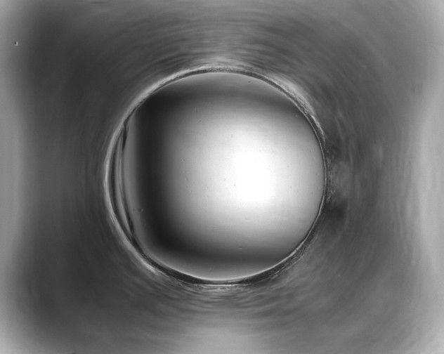 X0000088701391200705311207