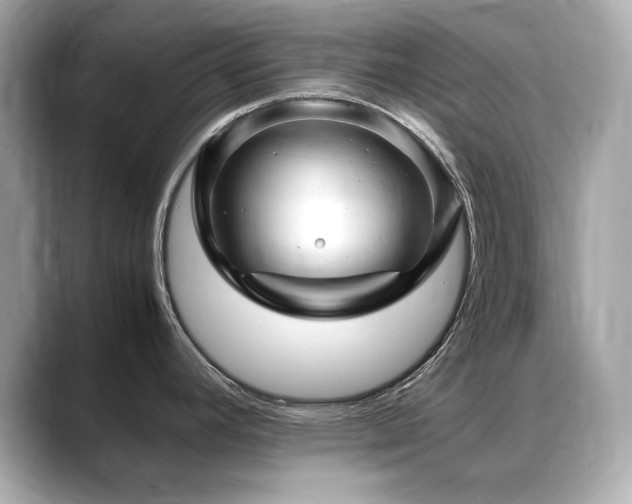 X0000088701392200705311207