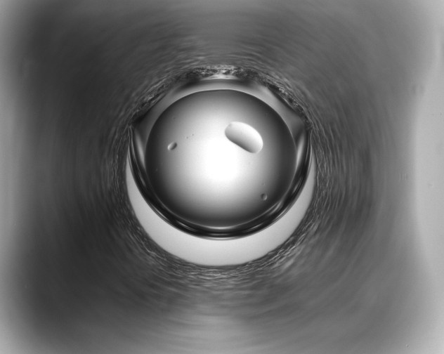 X0000088701394200705311206