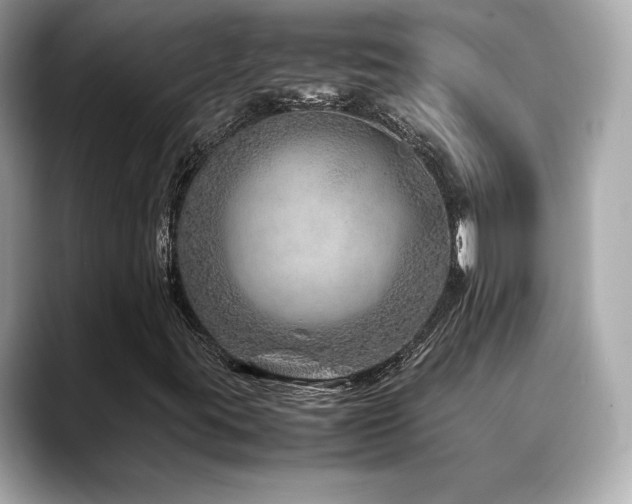 X0000088701395200705311206