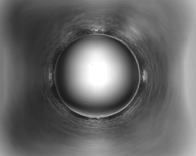 X0000088701396200705311206