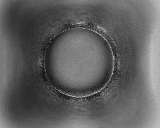 X0000088701397200705311206
