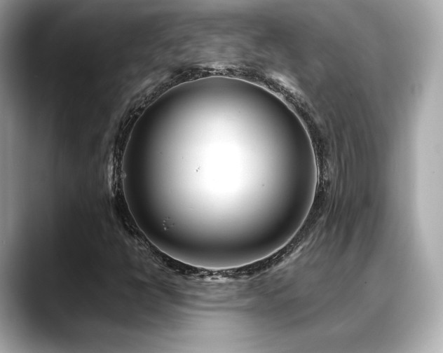 X0000088701398200705311206