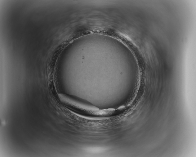 X0000088701399200705311206